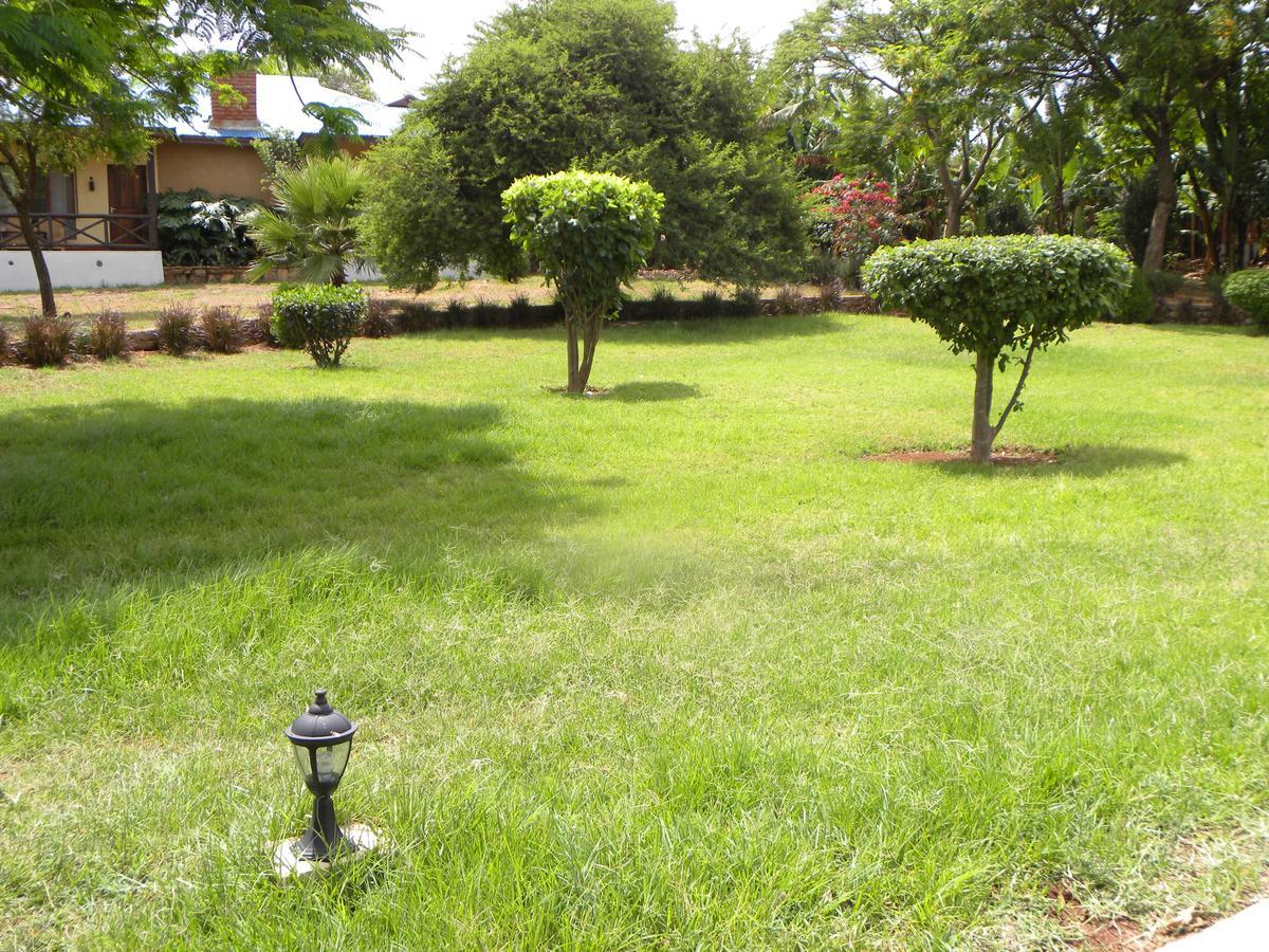 Olea Africana Lodge Karatu Exterior photo